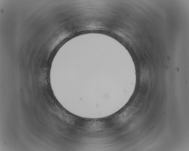 X0000074311314200609011502