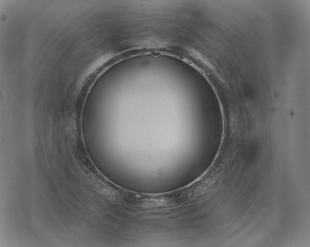 X0000074311315200609011502