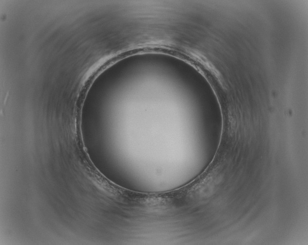 X0000074311316200609011502