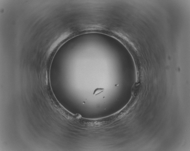 X0000074311317200609011502