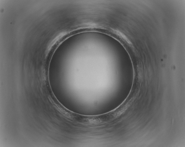 X0000074311318200609011502