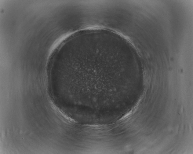 X0000074311319200609011502