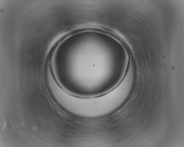 X0000074311320200609011502