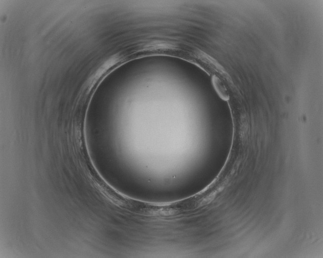 X0000074311321200609011502