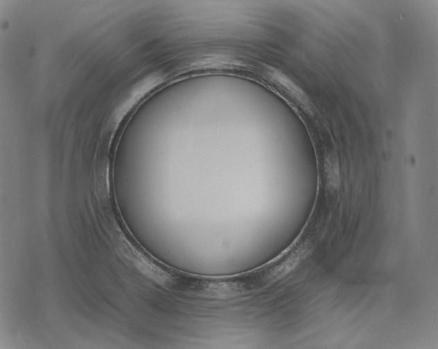 X0000074311322200609011502