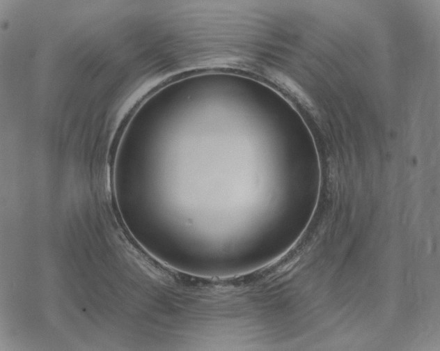 X0000074311324200609011502