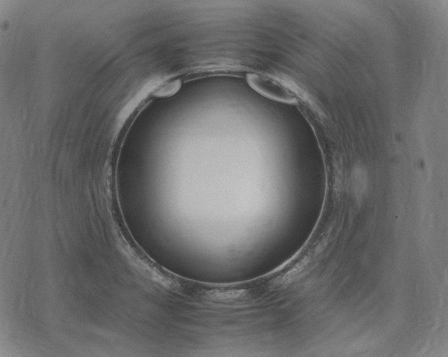 X0000074311325200609011502