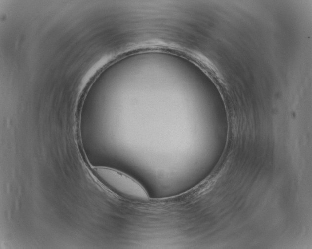 X0000074311326200609011502