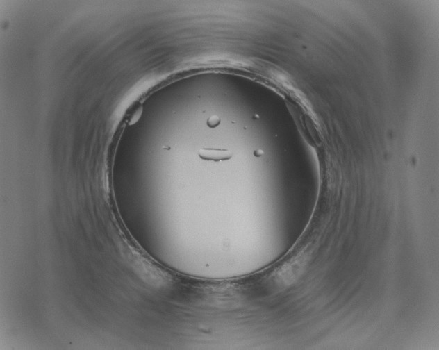 X0000074311328200609011502