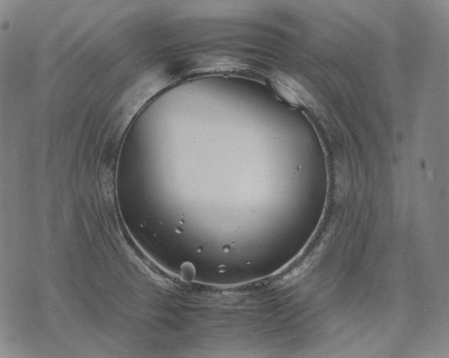 X0000074311329200609011502