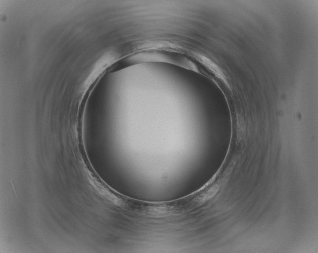 X0000074311330200609011502