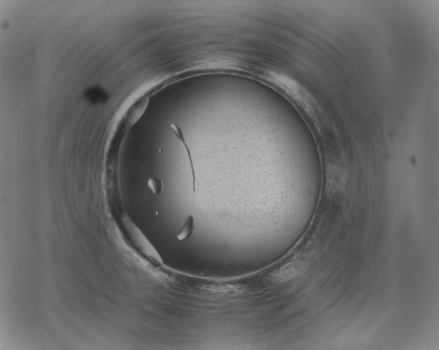 X0000074311331200609011502