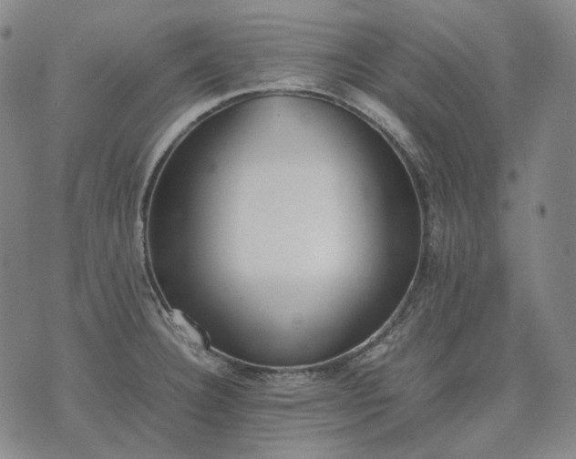 X0000074311332200609011502