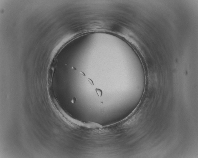 X0000074311333200609011503