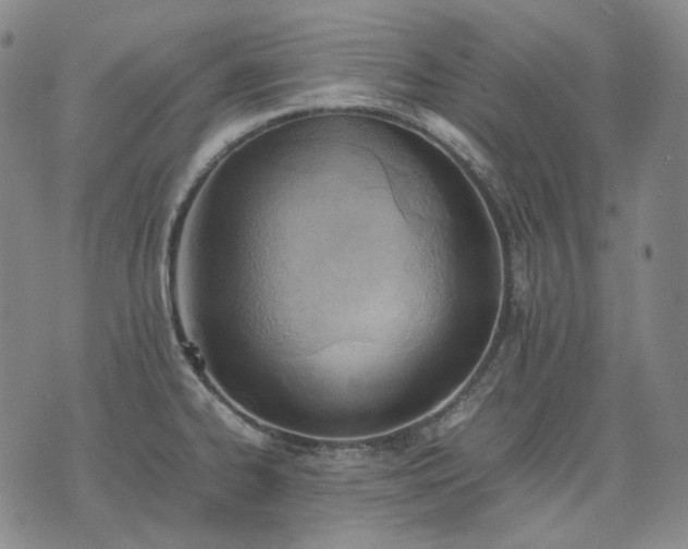 X0000074311334200609011503