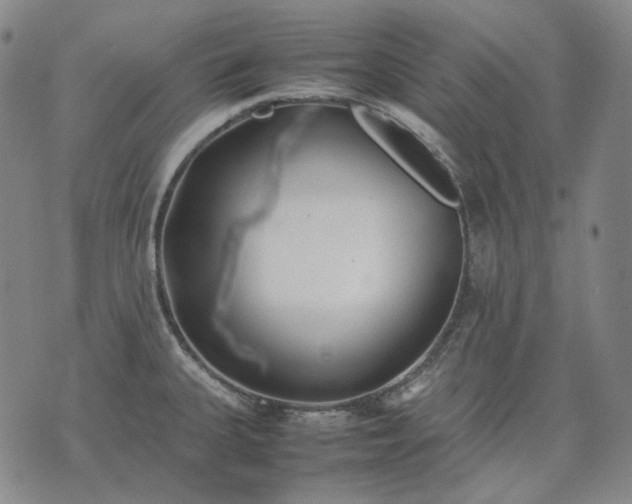 X0000074311335200609011503