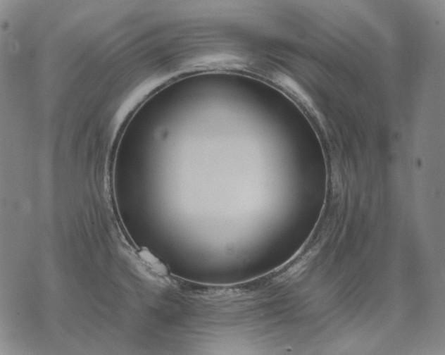 X0000074311336200609011503