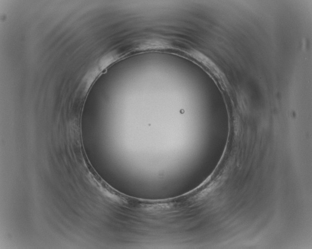 X0000074311337200609011503