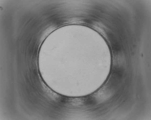 X0000074311338200609011503