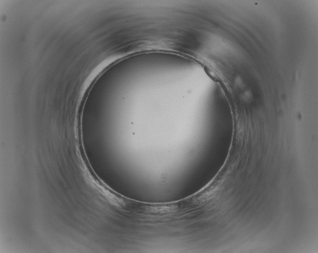 X0000074311339200609011503