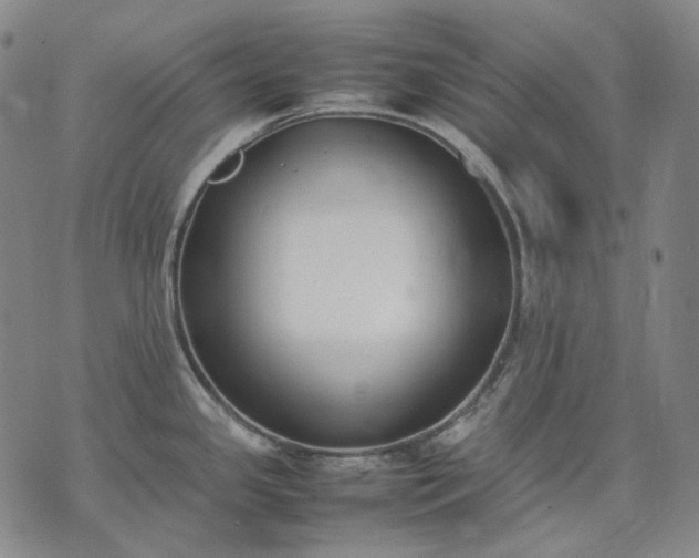 X0000074311341200609011503