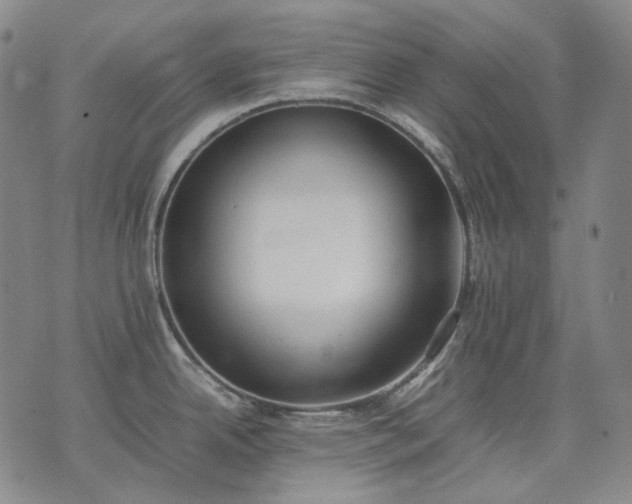 X0000074311342200609011503