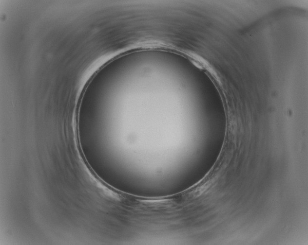 X0000074311343200609011503