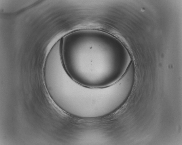 X0000074311344200609011503