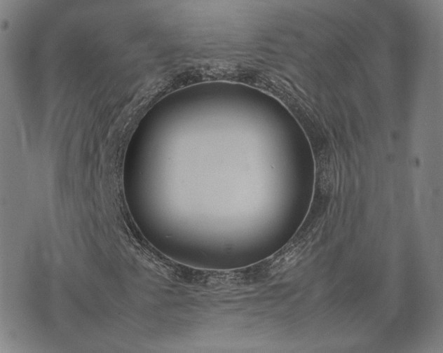 X0000074311345200609011502