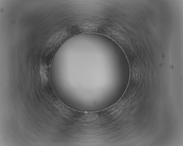 X0000074311346200609011502