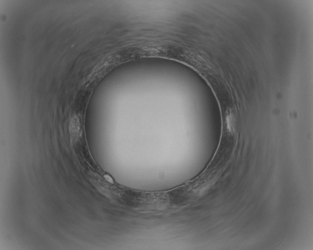 X0000074311347200609011502