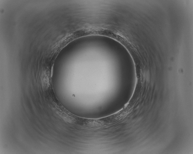 X0000074311348200609011502