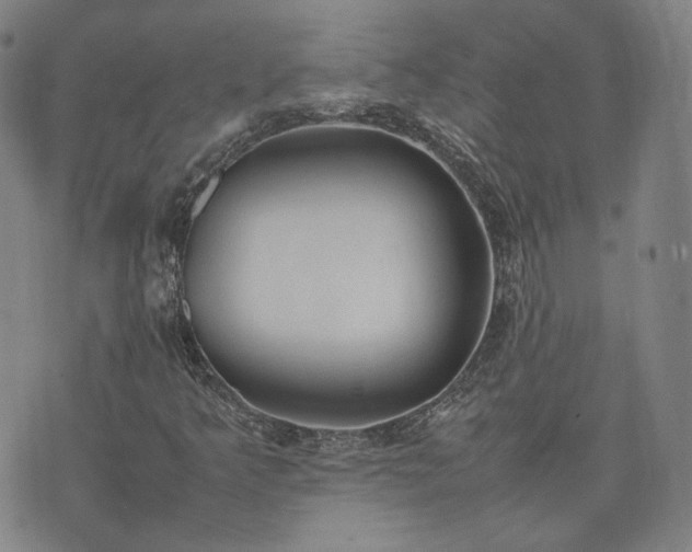 X0000074311349200609011502