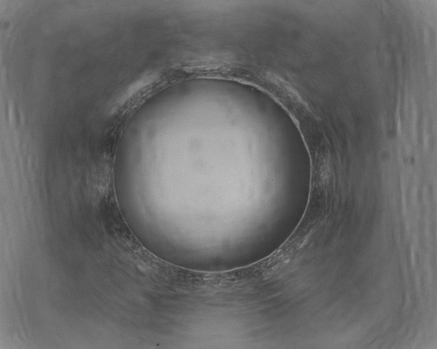 X0000074311350200609011502