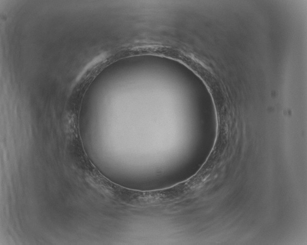 X0000074311351200609011502