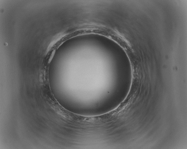 X0000074311352200609011502