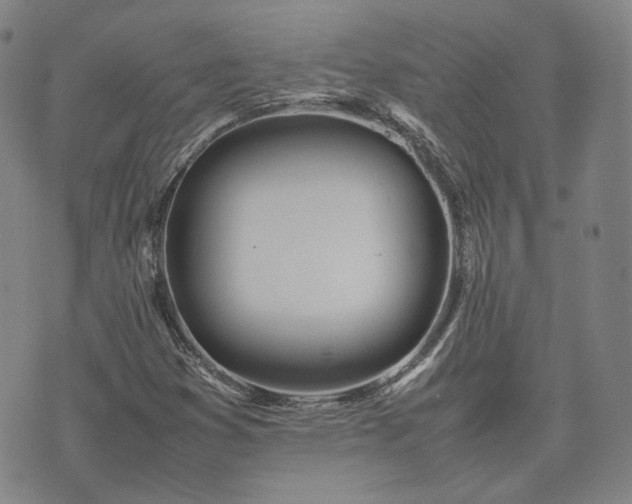 X0000074311353200609011502