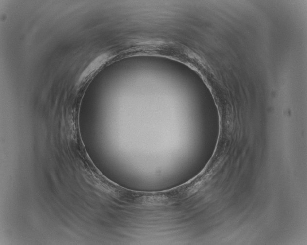 X0000074311354200609011502