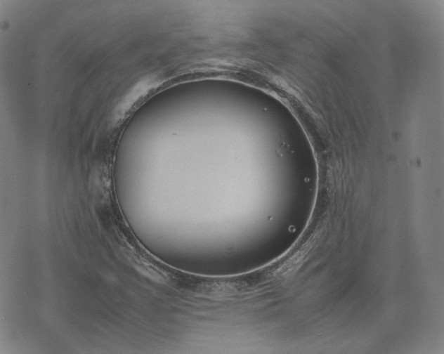 X0000074311355200609011502