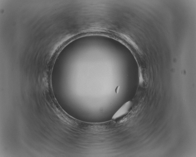 X0000074311356200609011502