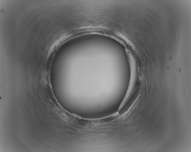 X0000074311357200609011502