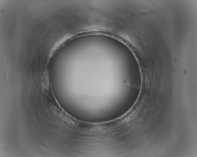 X0000074311358200609011502