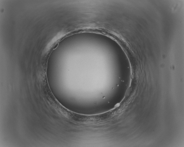 X0000074311359200609011502