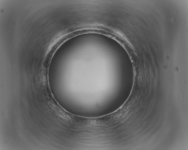 X0000074311360200609011502