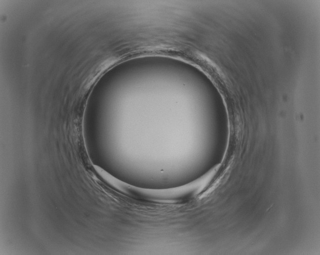 X0000074311361200609011502