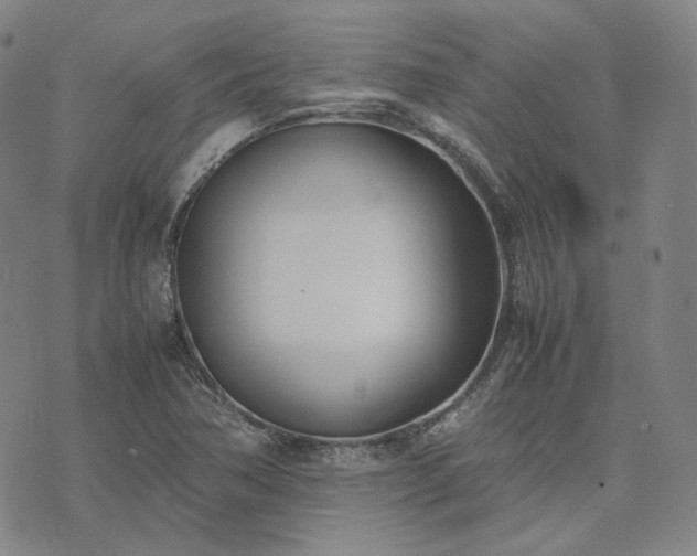 X0000074311362200609011502