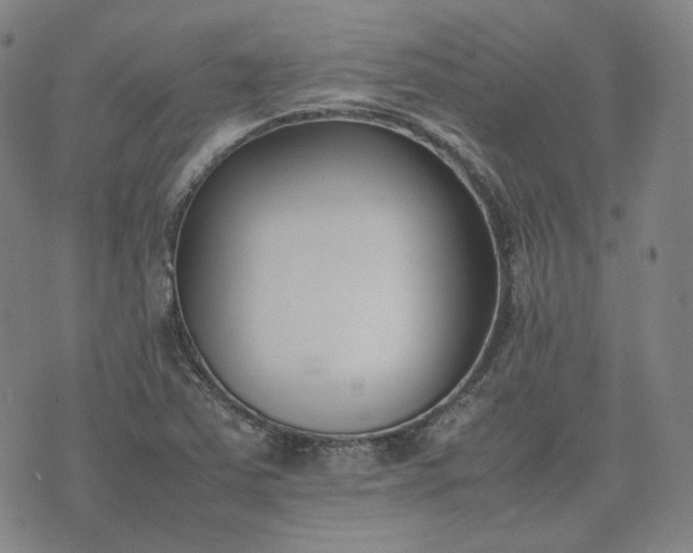 X0000074311363200609011502