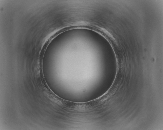 X0000074311364200609011502