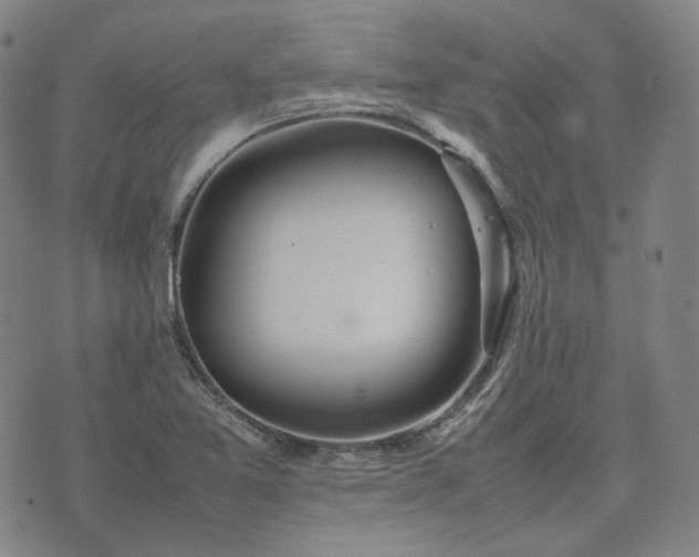 X0000074311365200609011502