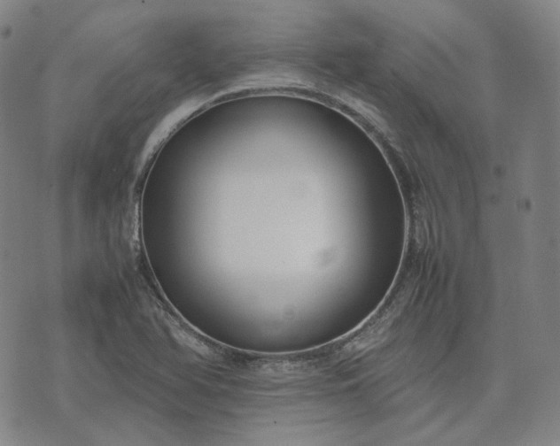 X0000074311366200609011502